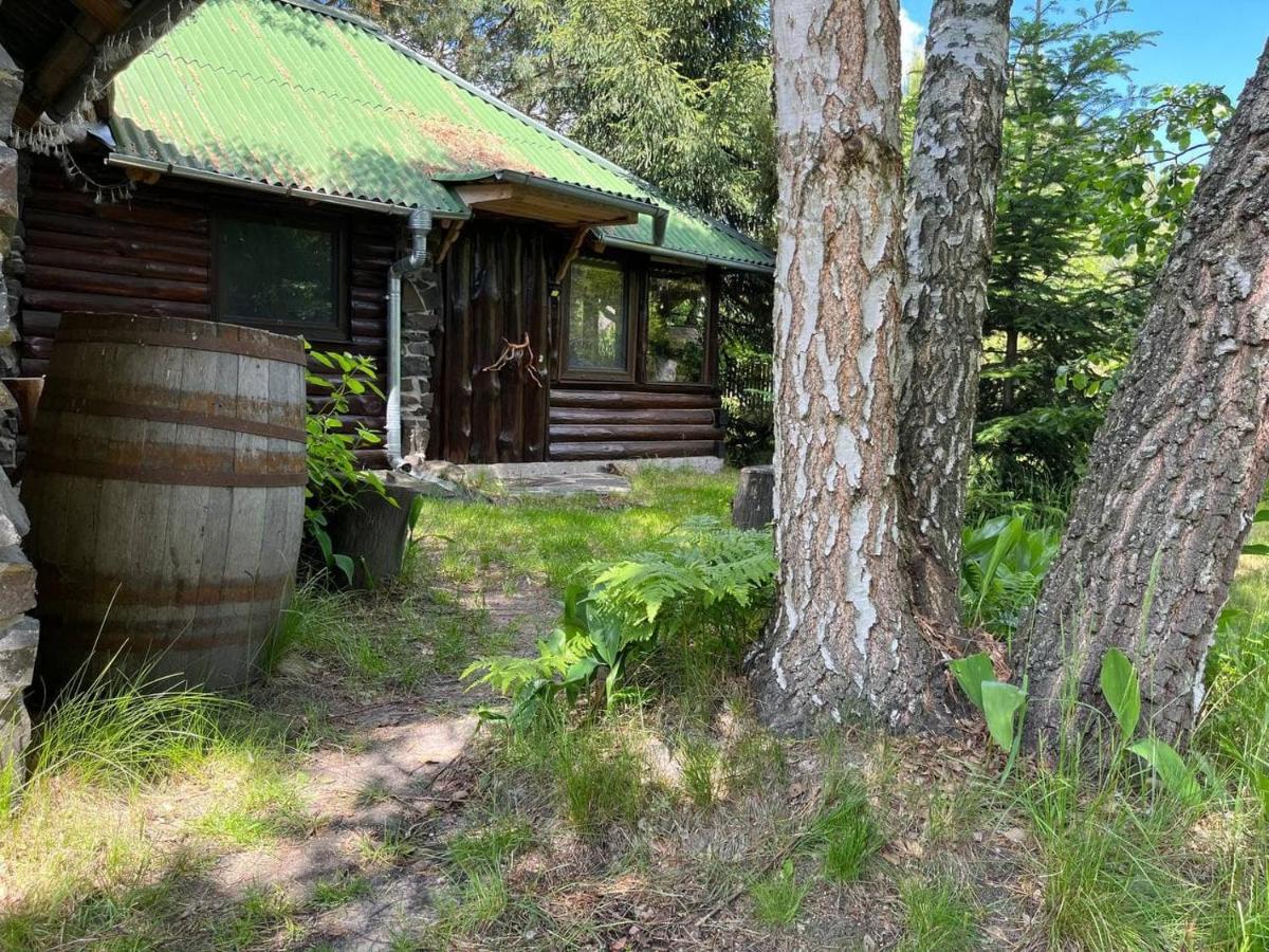 Ferienwohnung Zelenyi Rai Switjas Exterior foto