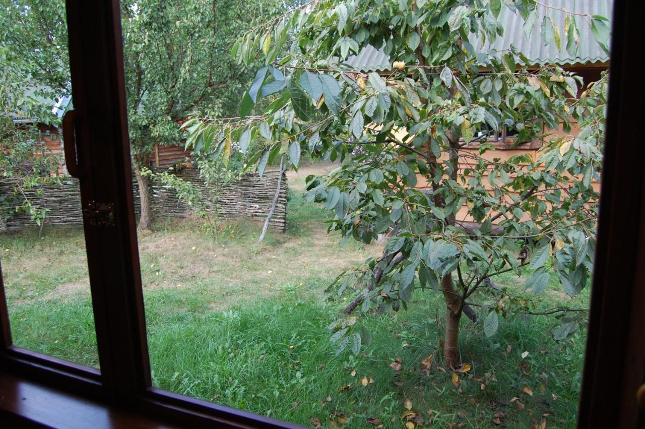 Ferienwohnung Zelenyi Rai Switjas Exterior foto